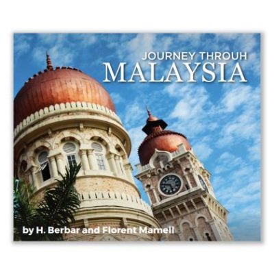  Journey Through Malaysian Economics: A Kaleidoscope of Growth and Transformation