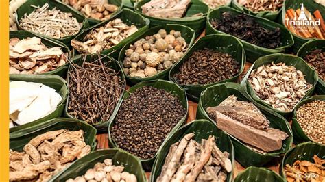  Journey Through Traditional Thai Medicine: A Symphony of Herbs and Ancient Wisdom